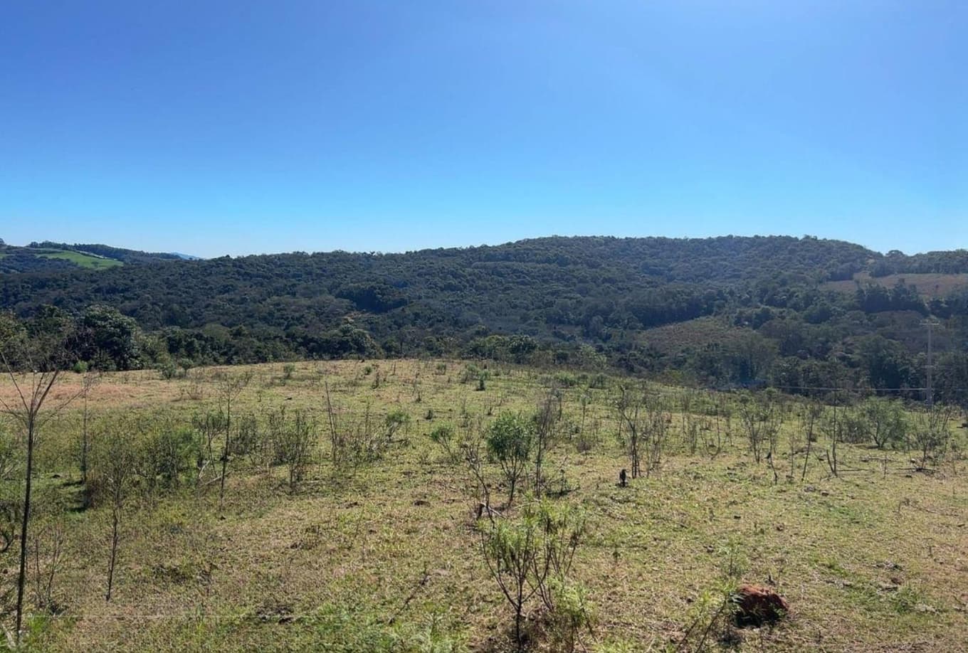 Area Rural em leilão em Bom Jesus Do Sul - PR — Imóvel Rural Flores e Conceição 5,1912 ha (2,15 alq. paulistas) Bom Jesus do Sul/PR