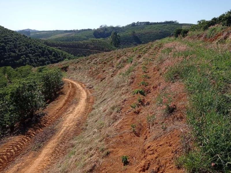 Foto 39 de 49: Area Rural em leilão em Caiana - MG — IMÓVEL RURAL COM ÁREA TOTAL DE 16,99,68 hectares- Em CAIANA/MG