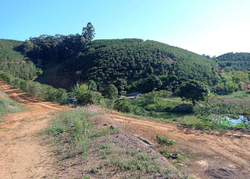 Foto 34 de 49: Area Rural em leilão em Caiana - MG — IMÓVEL RURAL COM ÁREA TOTAL DE 16,99,68 hectares- Em CAIANA/MG