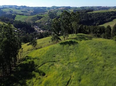 Foto 6 de 6: Area Rural em leilão em Mato Rico - PR — IMÓVEL RURAL COM ÁREA DE 2,7510 hectares EM MATO RICO-PR