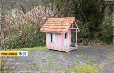 Foto 33 de 51: Terreno em leilão em Aurora - SC, bairro Área Rural — IMÓVEL RURAL COM ÁREA TOTAL DE 11,516 ha- Em AURORA/SC