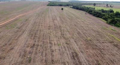 Foto 3 de 5: Area Rural em leilão em Gameleira De Goiás - GO — IMÓVEL RURAL COM ÁREA TOTAL 14,52 hectares- GOIAS/GO