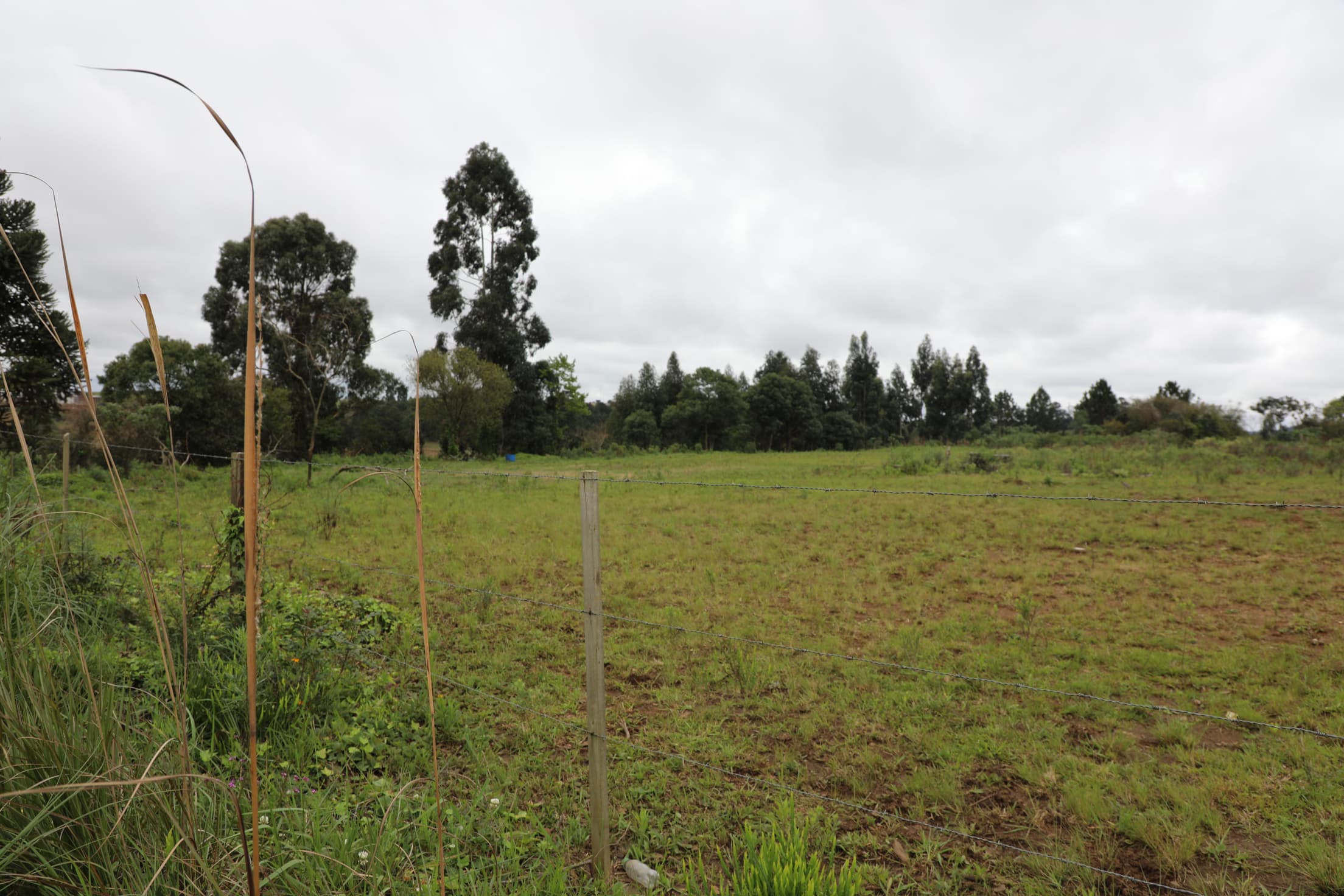 Foto 9 de 17: Terreno em leilão em Curitibanos - SC — IMÓVEL LOCALIZADO NA RUA ROMUALDO SCUR, ÁREA INDUSTRIAL RENATO FARIAS, MUNICÍPIO DE CURITIBANOS-SC COM A ÁREA DE 10.043,92M²