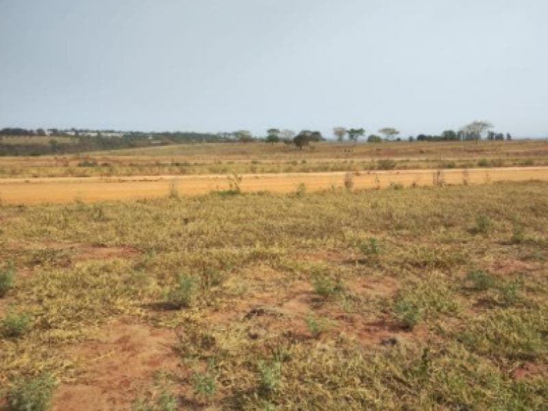 Foto 2 de 3: Terreno em leilão em Marília - SP, bairro Jardim Botânico I — Lote, Marília / SP