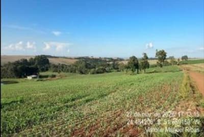 Foto 12 de 24: Area Rural em leilão em Manoel Ribas - PR, bairro Bairro dos Gallos — IMÓVEL RURAL COM ÁREA TOTAL DE 78.163,60 m2- Em MANOEL RIBAS/PR