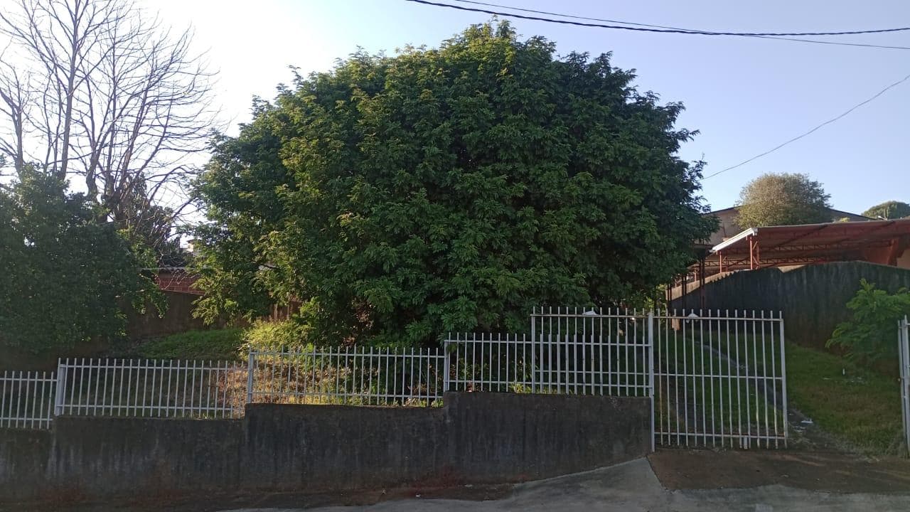 Foto 7 de 13: Casa em leilão em Capitão Leônidas Marques - PR — Casa 126m² Desocupada no Bairro Centro em Capitão Leonidas Marques/PR