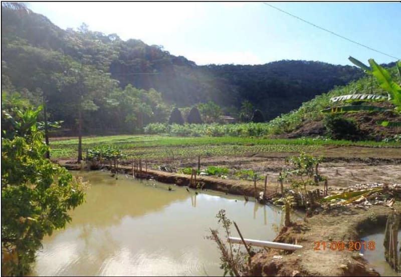 Foto 2 de 3: Area Rural em leilão em Miracatu - SP — Imóvel Rural com 127.551m² | Miracatu/SP