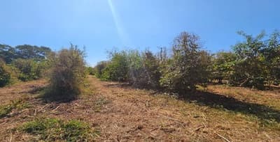 Foto 5 de 6: Area Rural em leilão em Serra Do Salitre - MG — Imóvel Rural 05,99,39 ha na Fazenda Santa Maria, Serra do Salitre/MG