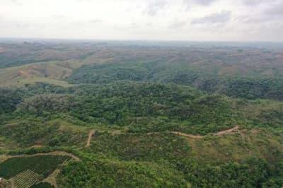 Foto 5 de 5: Area Rural em leilão em Bambuí - MG — FAZENDA "RANGEL" EM BAMBUÍ/MG.