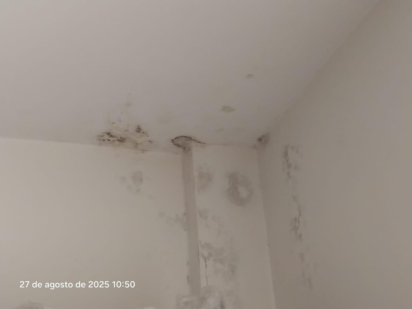 Foto 15 de 28: Apartamento em leilão em Curitiba - PR — Apartamento do Edifício Lattes, Curitiba/PR