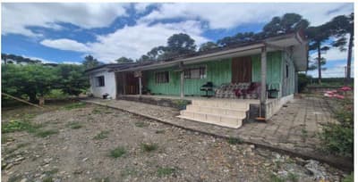 Foto 8 de 8: Terreno em leilão em São João Do Triunfo - PR — Terreno rural com área de 537.240,00m² , contendo 02 casa e dois galpões, situado na Localidade de Pinhalzinho, São João do Triunfo/PR