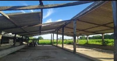 Foto 5 de 10: Area Rural em leilão em Barreiras - BA — IMÓVEL RURAL COM 12,57HA EM BARREIRAS - BA