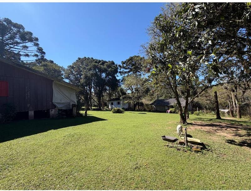 Foto 13 de 35: Area Rural em leilão em São José Dos Pinhais - PR — Sitio com área total de 120.974,16m², localizado Borda do Campo em São José dos Pinhais/PR