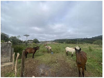 Foto 5 de 8: Terreno em leilão em Piraí Do Sul - PR, bairro Baixada — Terreno urbano com área de 9.377,50m², sem benfeitorias , localizado na Rua Jordão Spiller, 110, Bairro Baixada, Piraí do Sul/PR.