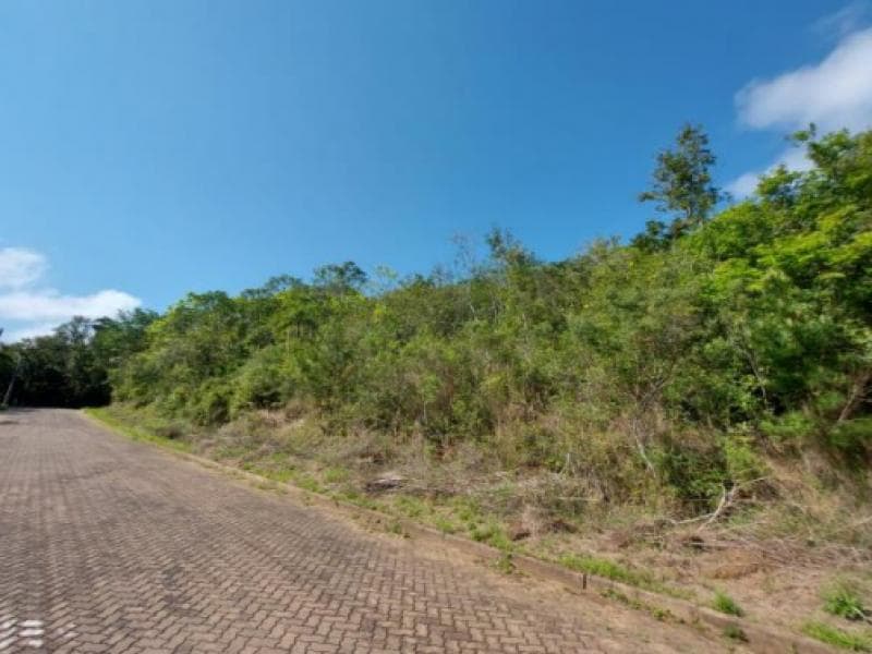 Foto 3 de 5: Terreno em leilão em Três Coroas - RS — Lote, 7.98 m2, Três Coroas / RS