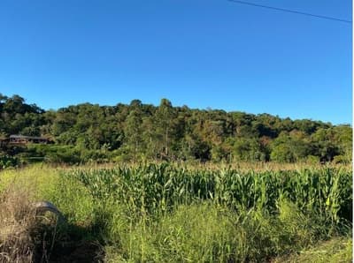 Foto 5 de 11: Area Rural em leilão em Nova Prata Do Iguaçu - PR — LOTE RURAL - SALTO DO LONTRA/PR