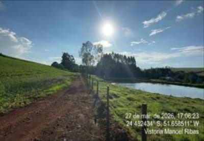 Foto 21 de 24: Area Rural em leilão em Manoel Ribas - PR, bairro Bairro dos Gallos — IMÓVEL RURAL COM ÁREA TOTAL DE 78.163,60 m2- Em MANOEL RIBAS/PR