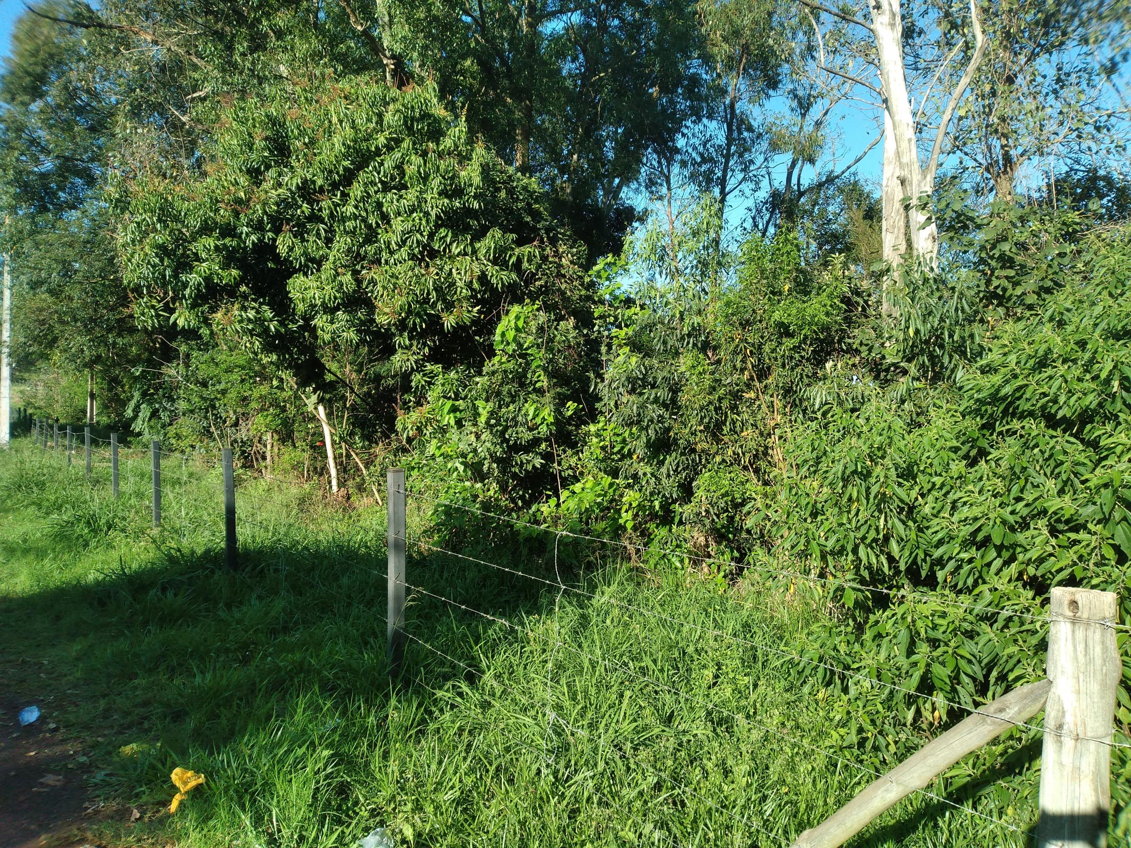 Foto 29 de 41: Area Rural em leilão em Capitão Leônidas Marques - PR — Gleba Urbana Desocupada 27.837m2 no Bairro São Gabriel em Capitão Leonidas Marques/PR