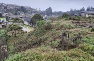 Foto 9 de 10: Terreno em leilão em Santa Cecília - SC — (Parte ideal) Terreno, A.T. 8.636,00m², diferencial, Bairro Fazenda Ouveiro