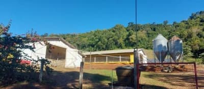 Foto 10 de 13: Area Rural em leilão em Chapecó - SC — IMÓVEL RURAL COM ÁREA DE 27.702,25m2, EM CHAPECÓ/SC