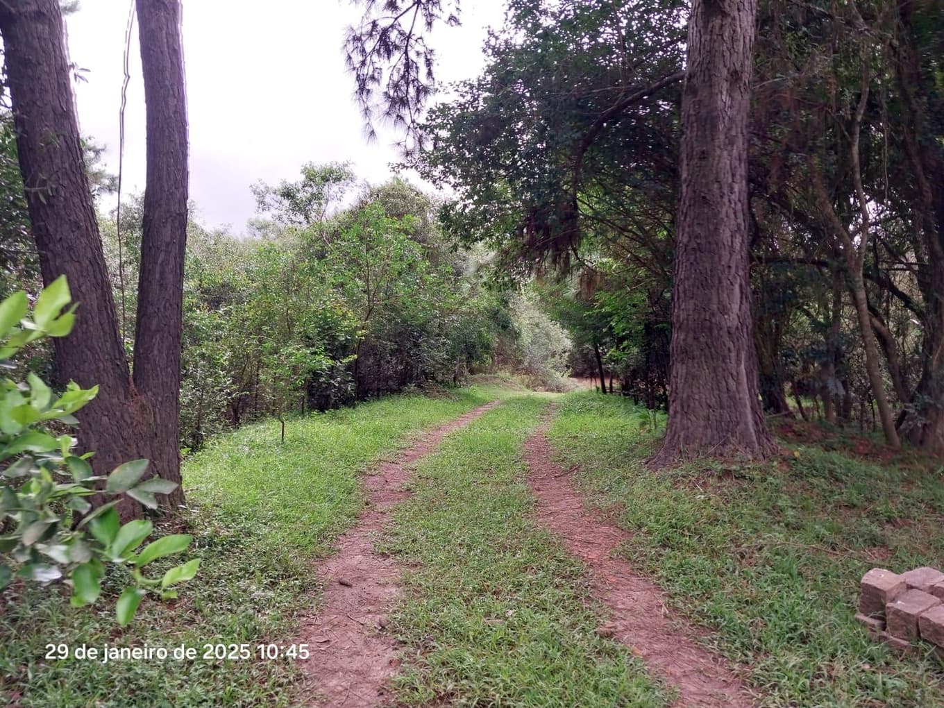 Foto 16 de 16: Terreno em leilão em Ponta Grossa - PR, bairro Colônia Dona Luiza — Terreno urbano, com área de terreno total de 10.260,00m², Ponta Grossa/PR