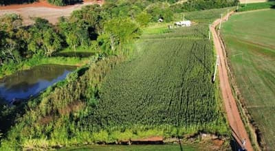 Foto 9 de 11: Area Rural em leilão em Nova Prata Do Iguaçu - PR — LOTE RURAL - SALTO DO LONTRA/PR