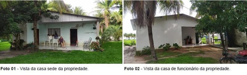 Foto 9 de 10: Area Rural em leilão em Luís Eduardo Magalhães - BA — IMÓVEL RURAL | 25,00 HA - CHÁCARA SÃO JOÃO | LUIS EDUARDO MAGALHÃES/BA