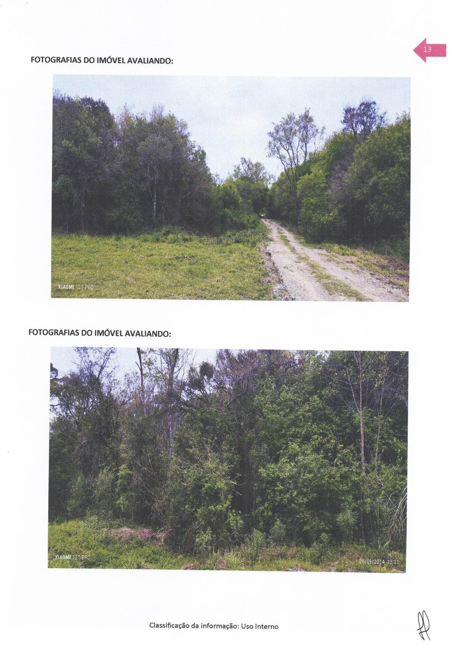 Foto 6 de 8: Terreno em leilão em Rebouças - PR — Um terreno rural, situado na localidade de Riozinho ou Potinga, no município e Comarca de Rebouças, PR, com a área superficial de 275.190,00 m² (duzentos e setenta e cinco mil, cento e noventa metros quadrados), ou 27,5190 hectares, cadastrado no INCRA so