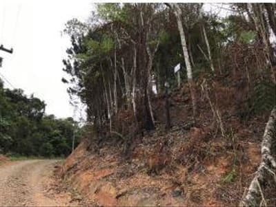 Foto 5 de 6: Terreno em leilão em Taió - SC — TERRENO RURAL com área total de 675,00 m²