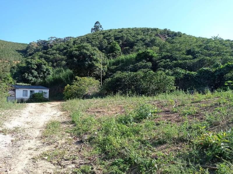 Foto 5 de 49: Area Rural em leilão em Caiana - MG — IMÓVEL RURAL COM ÁREA TOTAL DE 16,99,68 hectares- Em CAIANA/MG