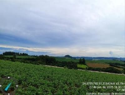 Foto 4 de 5: Area Rural em leilão em Rio Branco Do Ivaí - PR — IMÓVEL RURAL COM ÁREA DE 3,9279 hectares- Em GRANDES RIOS/PR