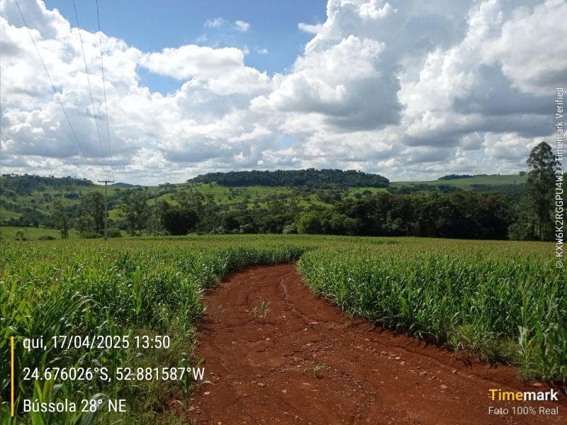 Foto 2 de 8: Area Rural em leilão em Campina Da Lagoa - PR — IMÓVEL RURAL COM ÁREA DE 60.500 m2 Em CAMPINA DA LAGOA/PR
