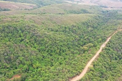 Foto 5 de 5: Area Rural em leilão em Formiga - MG — FAZENDA "BOA VISTA" EM FORMIGA/MG.