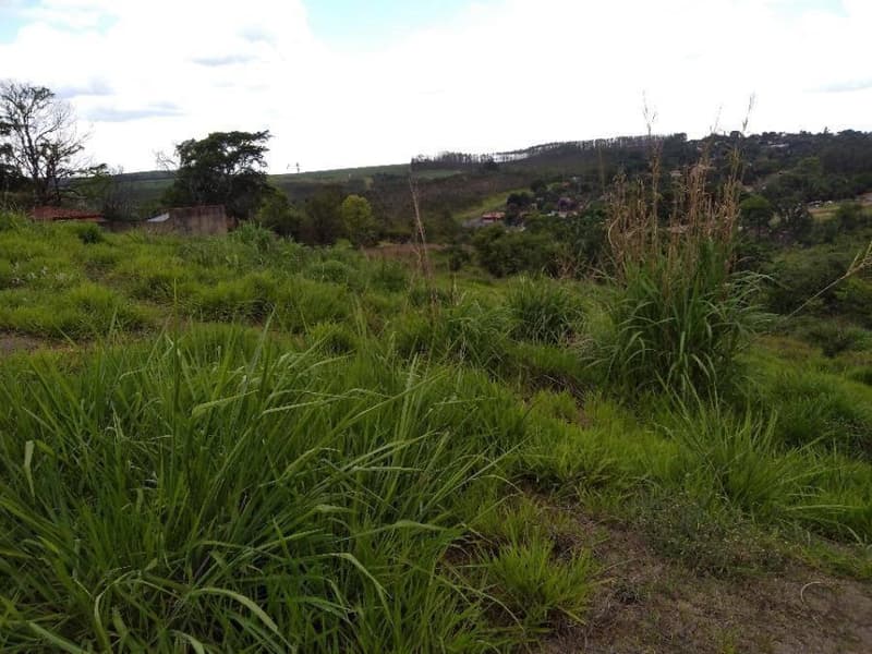 Foto 7 de 15: Terreno em leilão em Limeira - SP — Lote, Desocupado, Limeira / SP