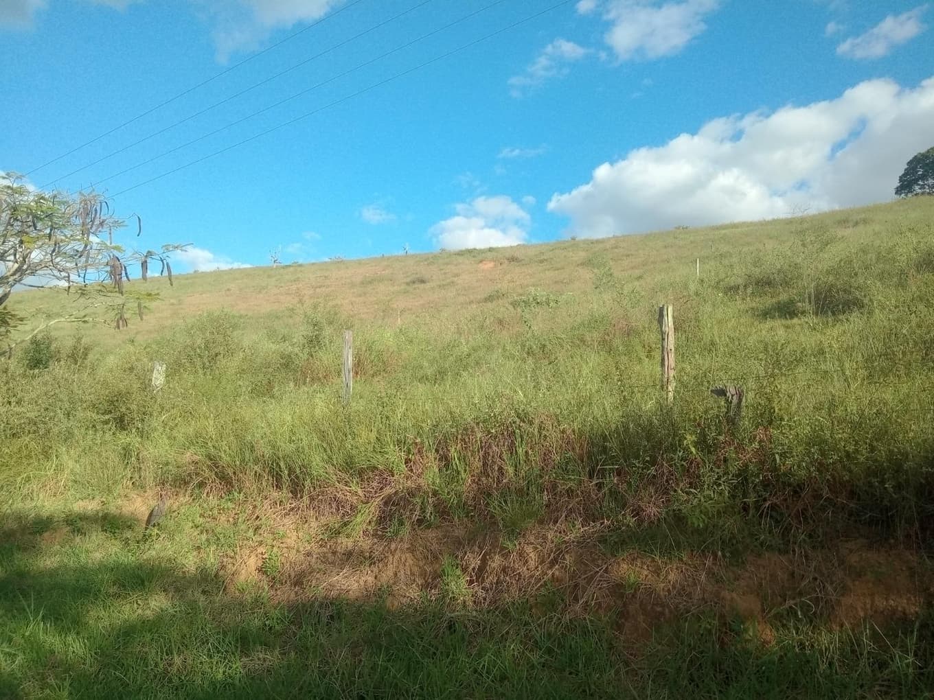 Foto 29 de 61: Terreno em leilão em Muriaé - MG, bairro Sofocó — IMÓVEL URBANO COM ÁREA TOTAL DE 48.206,32 m2- Em MURIAÉ/MG