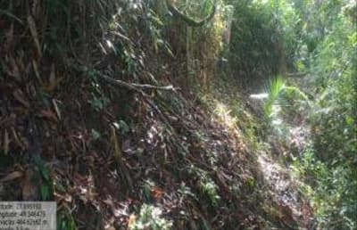 Foto 2 de 7: Terreno em leilão em Apiúna - SC — TERRENO RURAL COM ÁREA DE 16,135 HA, EM APÍUNA-SC
