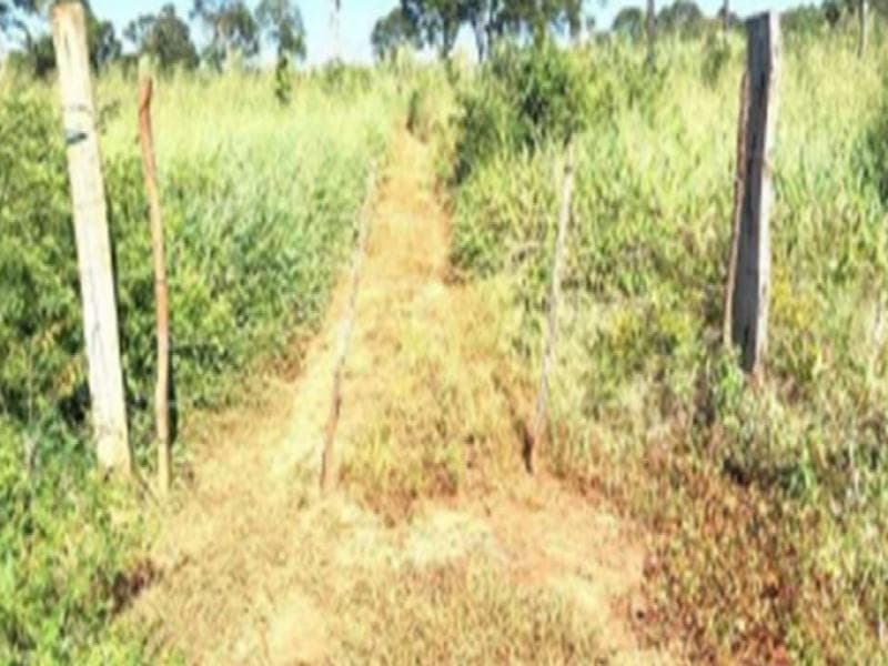 Foto 2 de 3: Area Rural em leilão em Estreito - MA — Area, 84.55 ha, Estreito / MA