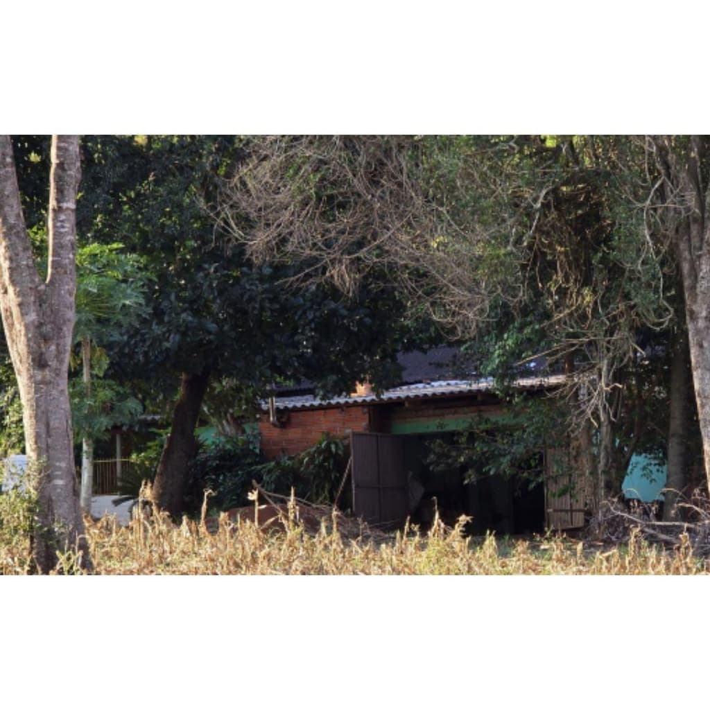 Foto 6 de 6: Area Rural em leilão em Marechal Cândido Rondon - PR — IMÓVEL RURAL- COM ÁREA DE 43.560 m2- Em MARECHAL CÂNDIDO RONDON/PR