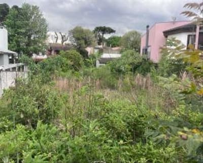 Foto 5 de 8: Terreno em leilão em Curitiba - PR, bairro Vista Alegre — IMÓVEL URBANO COM ÁREA TOTAL DE 800,00 m2- Em CURITIBA/PR