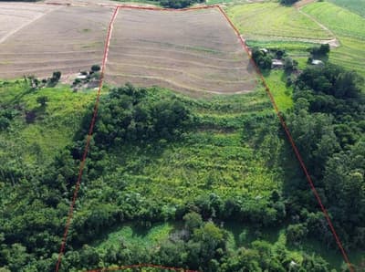 Area Rural em leilão em Araruna - PR — IMÓVEL RURAL COM ÁREA TOTAL DE 145.200 m2- Em ARARUNA/PR