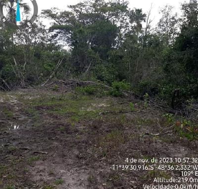 Foto 6 de 17: Area Rural em leilão em Paranã - TO — IMÓVEL RURAL | 1.522,3316 HA | FAZENDA LARGA OU LARGA DO ZÉ JANUÁRIO | PARANÃ/TO.