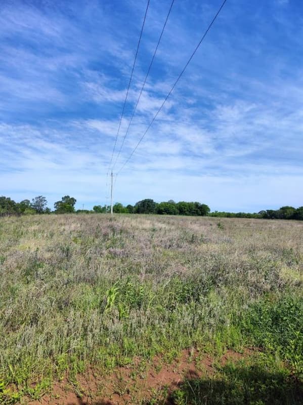 Foto 12 de 12: Area Rural em leilão em Santo Cristo - RS — IMÓVEL RURAL COM ÁREA TOTAL DE 20.250m² - SANTO CRISTO/RS
