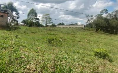 Foto 5 de 15: Area Rural em leilão em Pitanga - PR — VENDA CONJUNTA DE DUAS MATRÍCULAS- Em PITANGA/PR