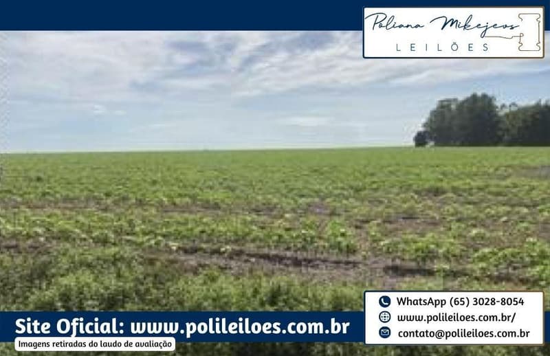 Foto 6 de 7: Area Rural em leilão em Sorriso - MT — Área Rural, Fração Ideal 157,7447ha, AT. 315,489ha, denominado Dal, Bosco Fazenda Rondinha II, Gleba Rio Verde/Lote Primavera, Sorriso/MT