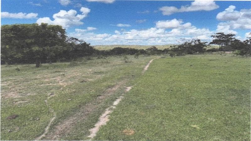 Foto 1 de 4: Area Rural em leilão em Campo Alegre De Goiás - GO — IMÓVEL RURAL | 474,8990 HA - FAZ. BONANZA | CAMPO ALEGRE DE GOIÁS/GO