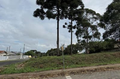 Foto 1 de 4: Terreno em leilão em Mafra - SC — Terreno urbano, sem benfeitorias, com a área de 450,00m², Lote 5, Quadra 2, Loteamento Vila Hermínia, Mafra/SC
