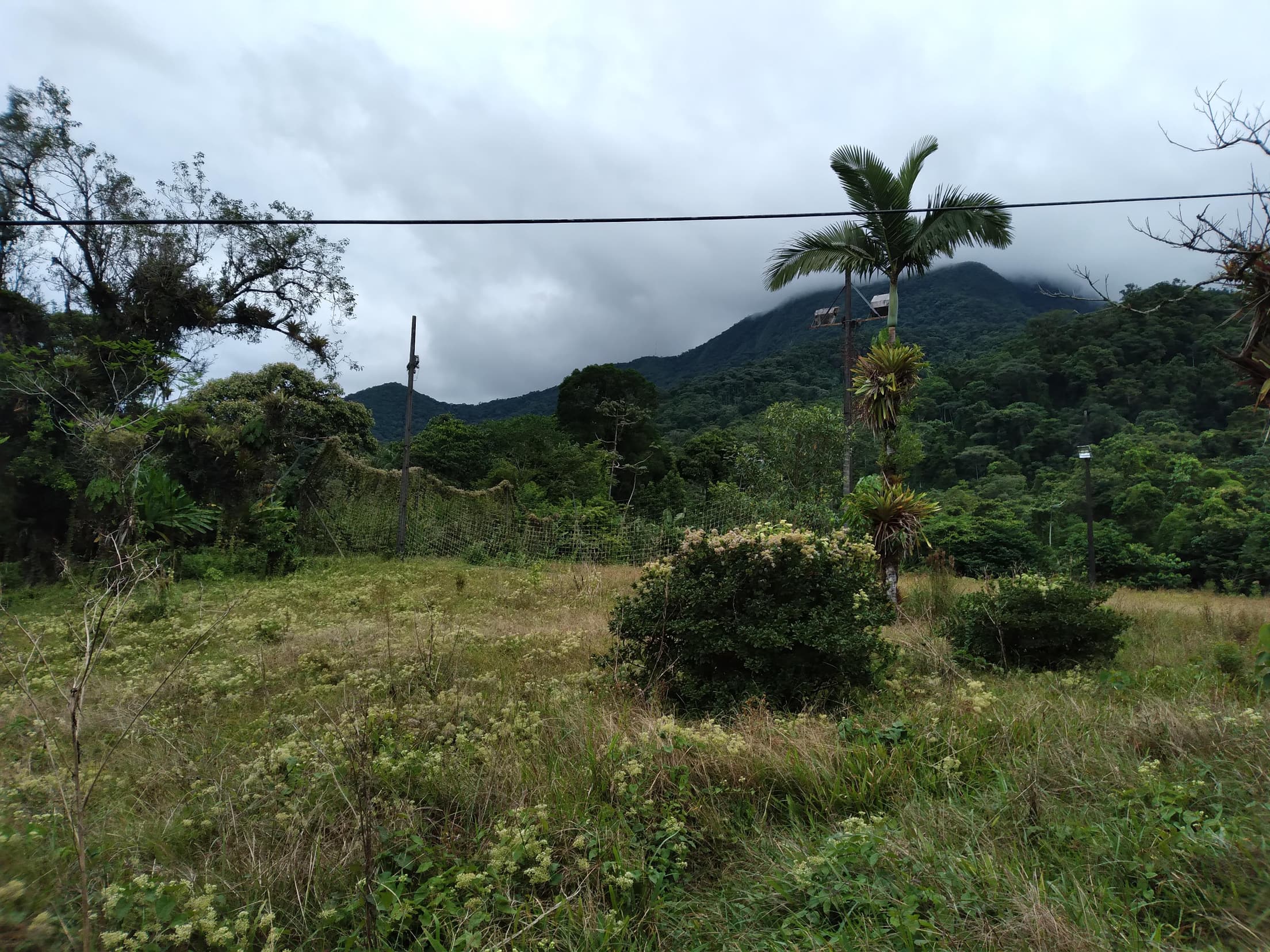 Foto 10 de 13: Terreno em leilão em Antonina - PR — Terreno Rural 308,4632ha Desocupado em Antonina/PR