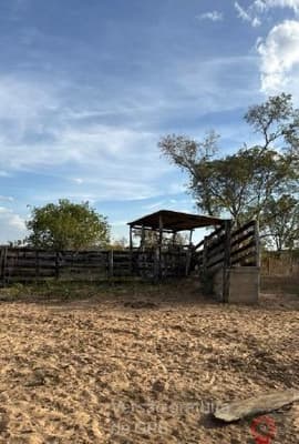 Foto 3 de 4: Area Rural em leilão em Alvorada Do Norte - GO — IMÓVEL RURAL | A.T. 773.43,17 HÁ FAZENDA RANCHARIA | ALVORADA DO NORTE/GO - LEILÃO EMPRESARIAL SISTÊMICO SICREDI