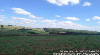 Foto 2 de 5: Area Rural em leilão em Taquarituba - SP — Glebas, 34 hectares, Taquarituba/SP