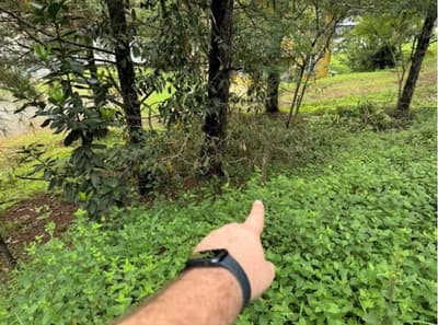 Foto 27 de 53: Terreno em leilão em Blumenau - SC — Terreno com área de 8.958m², bairro Salto Weissbach, Blumenau/SC